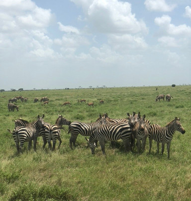 Costo Tours & Adventure Activities - Day Tours-蒙巴萨必去景点