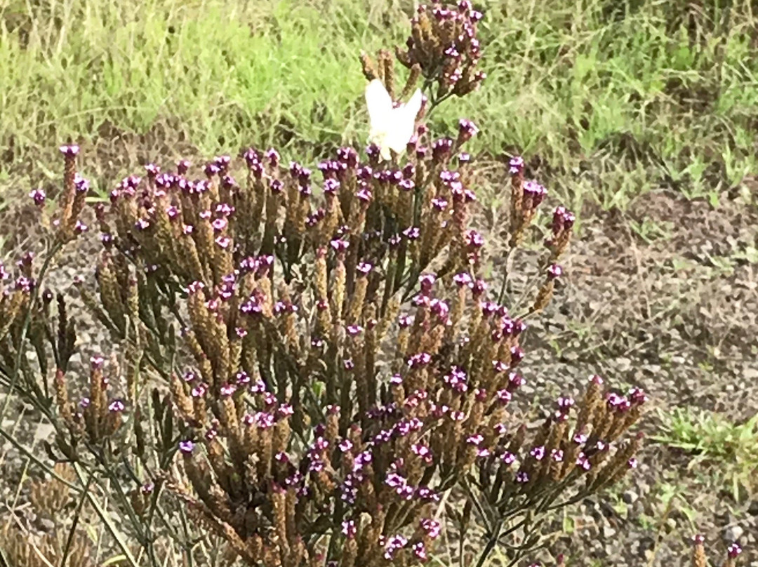 Moondarra Reservoir-Erica必去景点