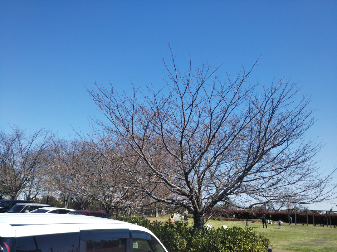 Fusha Park景点图片