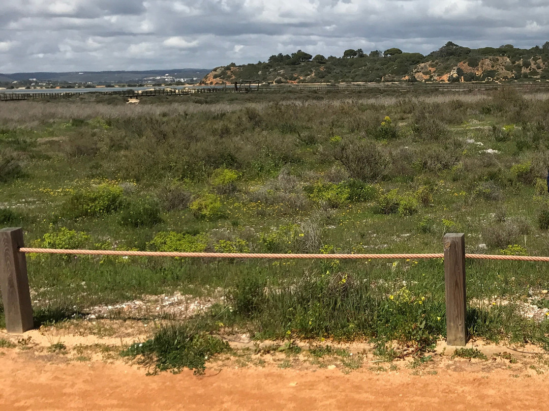 Ria de Alvor Nature Reserve景点图片