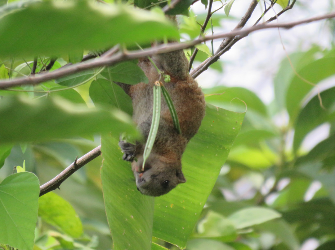 蝉之栈酒店主图