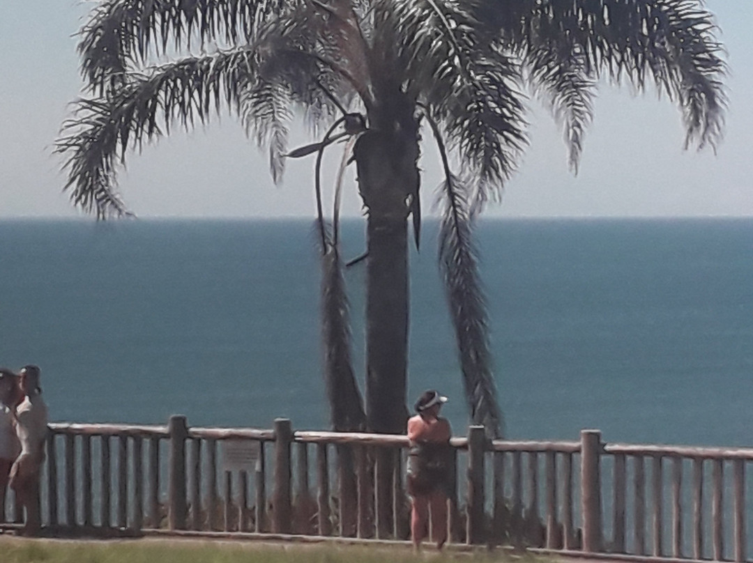 Mirante Do Morro Das Pedras景点图片