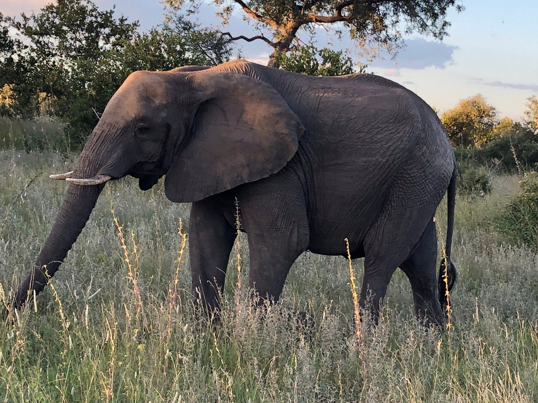 Klaserie Dam-Klaserie Private Game Reserve必去景点