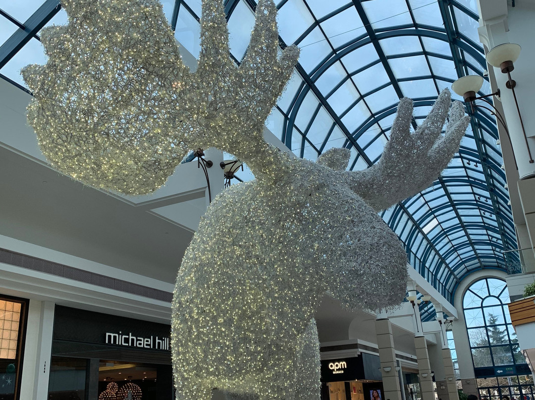 CF Richmond Centre景点图片