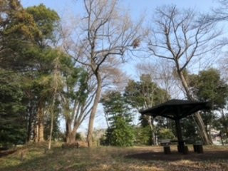 Iseyama Nature Park景点图片