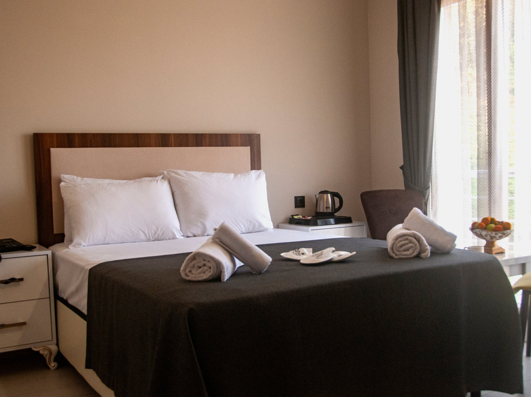 Aziziya Suit Hotel主图