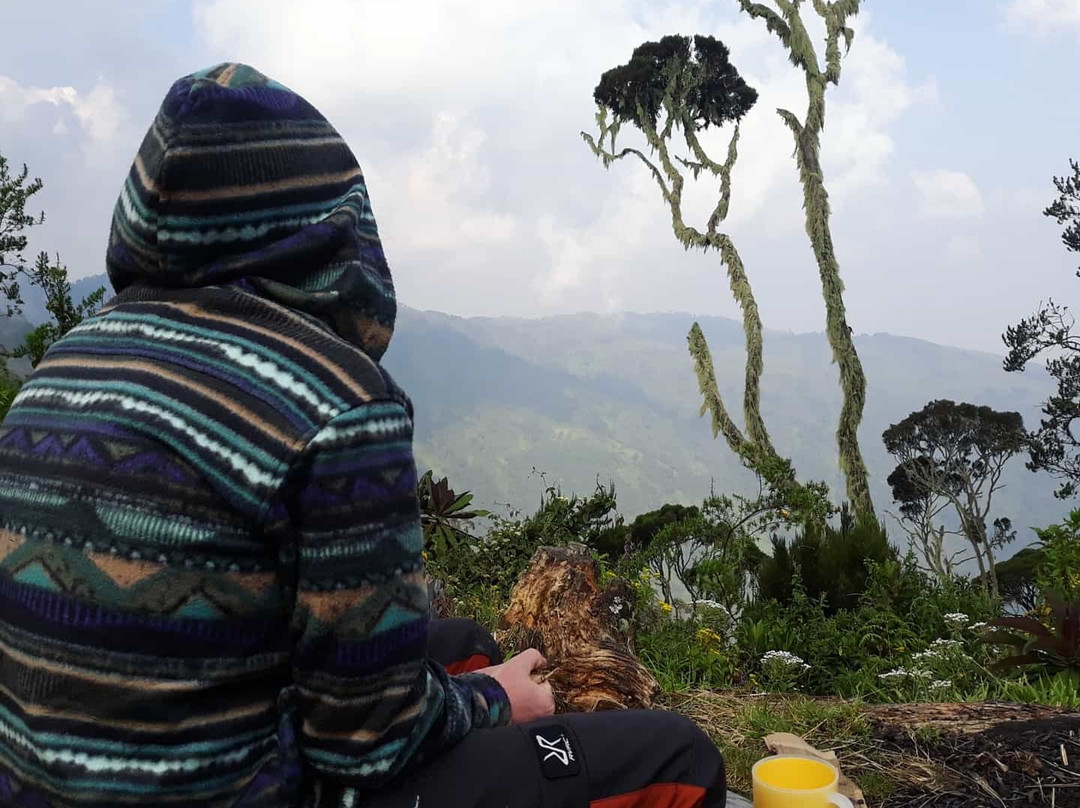 Bushman Safaris-坎帕拉必去景点