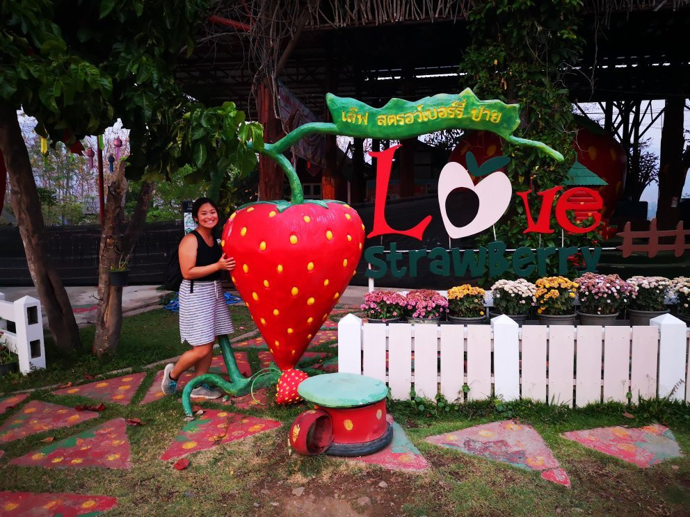 Love Strawberry Pai-拜县必去景点