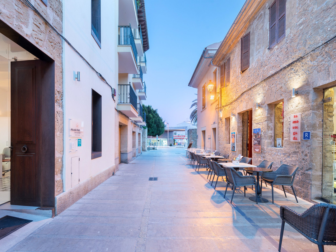 Alcúdia Petit Turismo De Interior主图