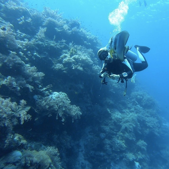 Bira Dive Centre景点图片
