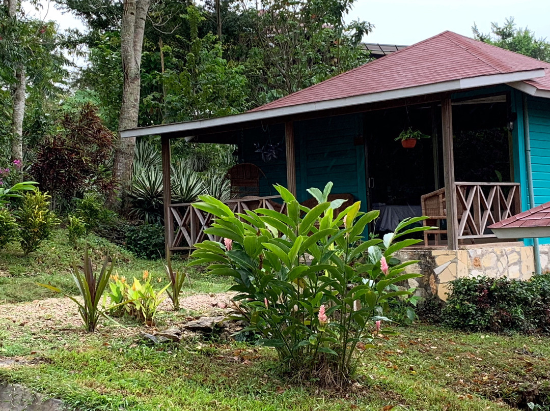 Winika Alterra主图