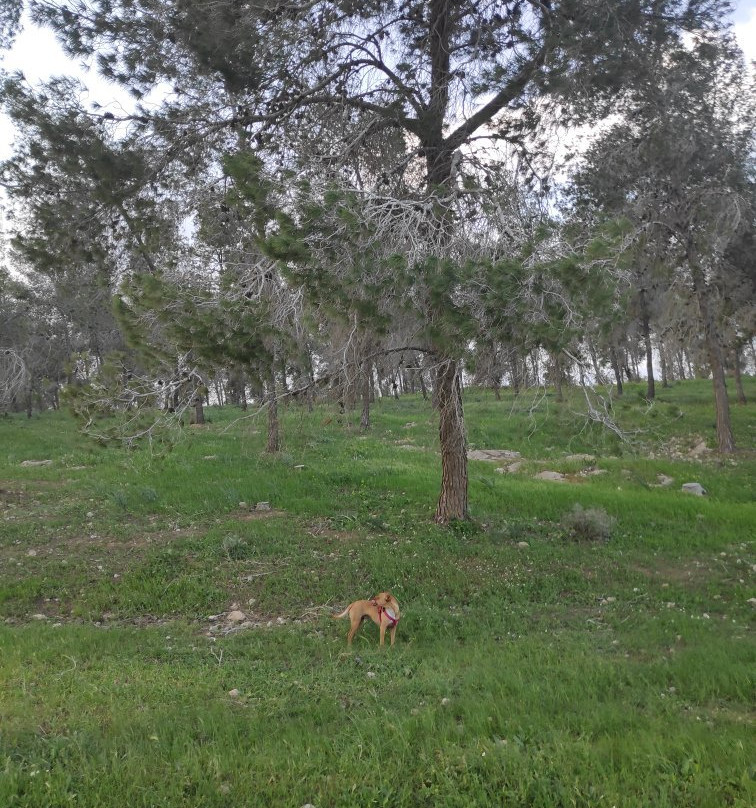 The Museum of Bedouin Culture-贝尔谢巴必去景点