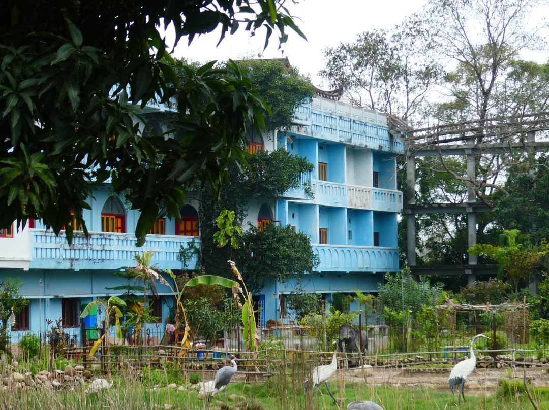 Chua Viet Nam Tai Lumbini-Lumbini Sanskritik必去景点