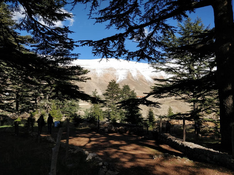 Beirut Online Taxi & Tours-贝鲁特必去景点