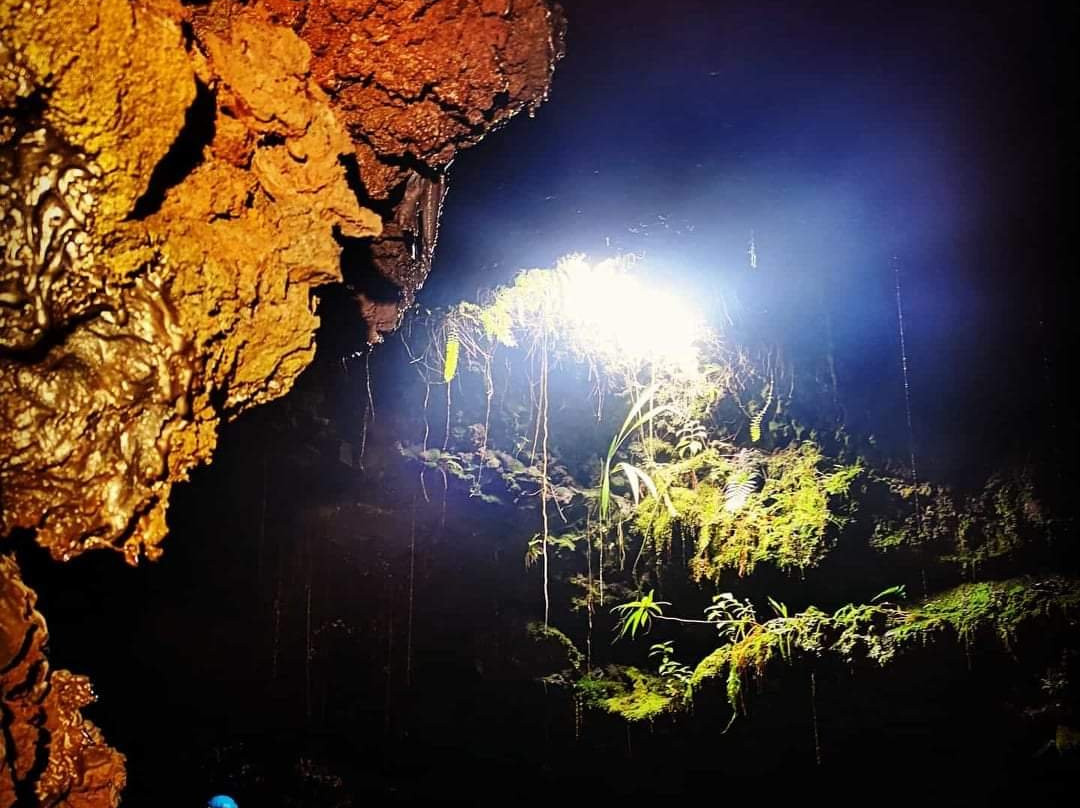 Tunnels de lave Réunion: Volcanorun景点图片