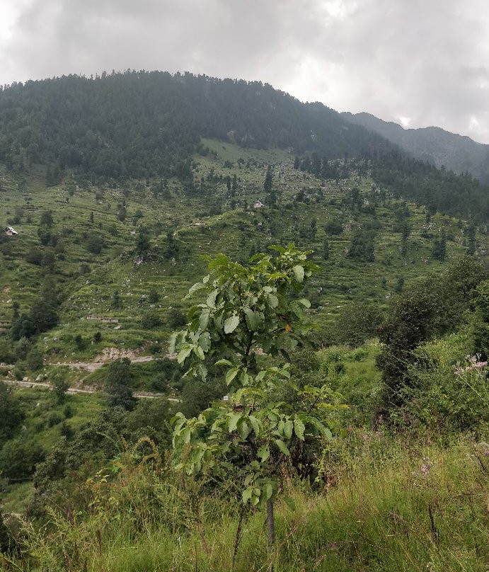 Sufi Village Bharath-Doda必去景点