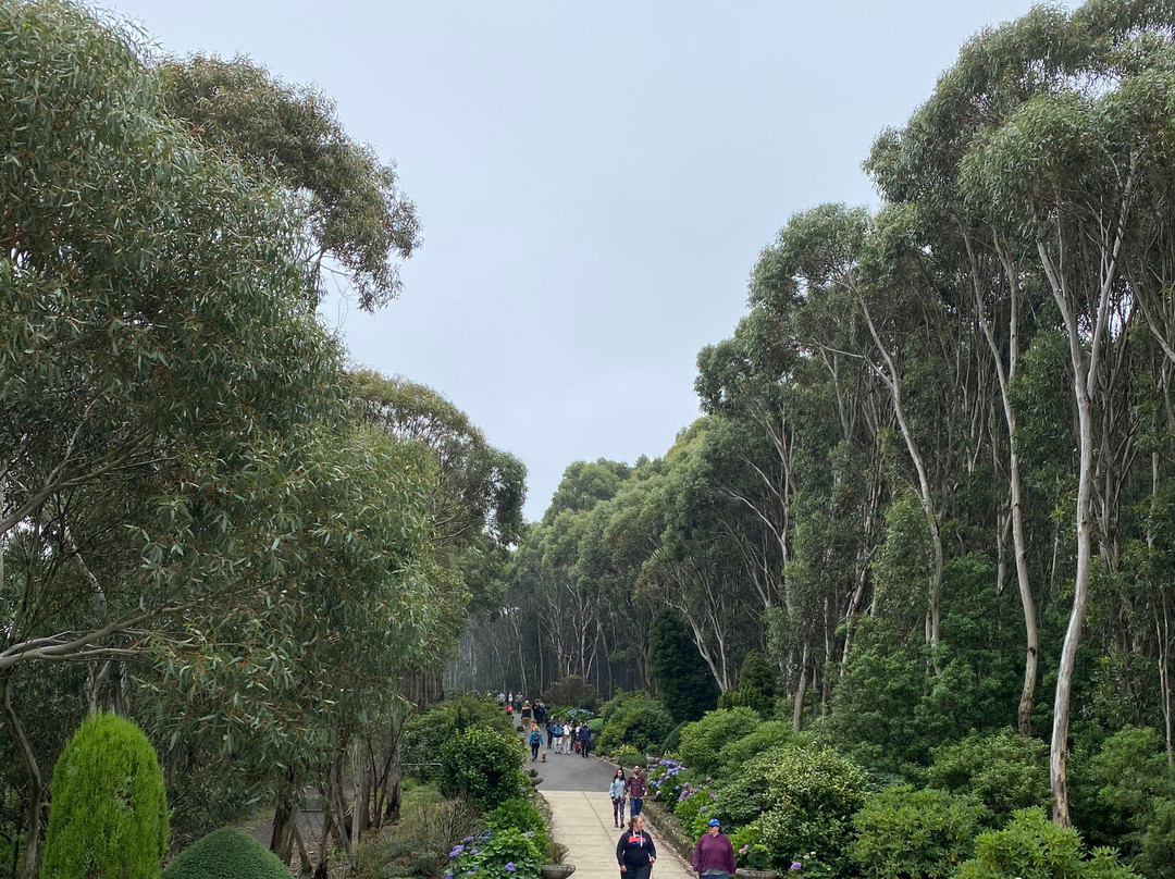 Mount Macedon Memorial Cross-马其顿山必去景点