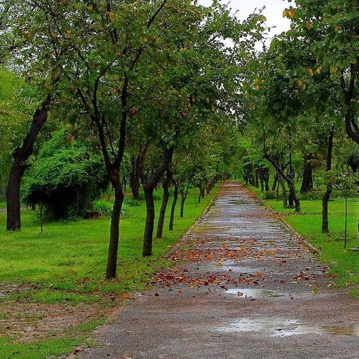 Kachnar Park景点图片