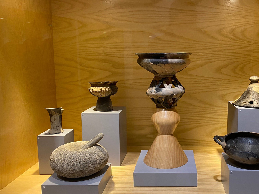 Museo de Huesca景点图片