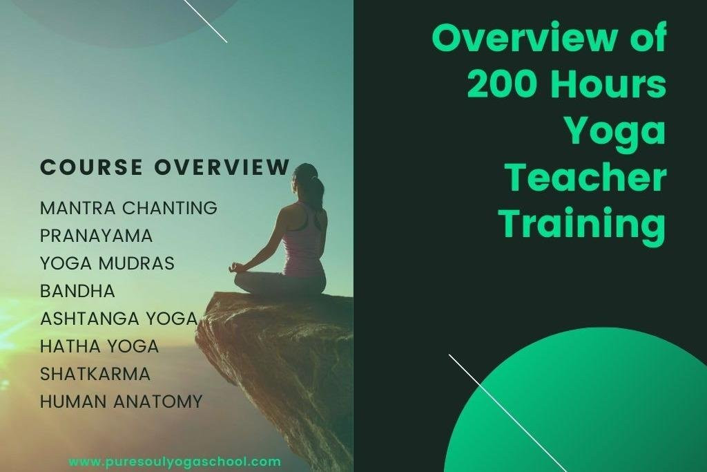PURE SOUL YOGA SCHOOL-里希克虚必去景点