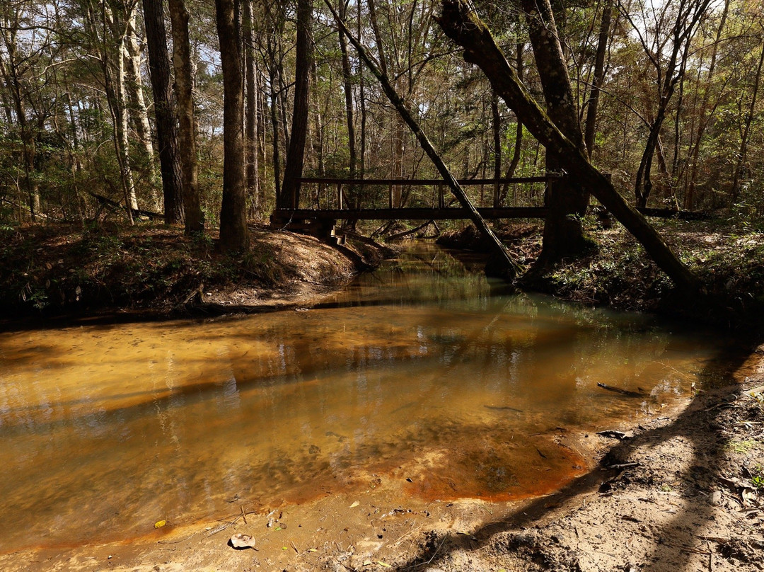 Big Creek Scenic Area-Shepherd必去景点