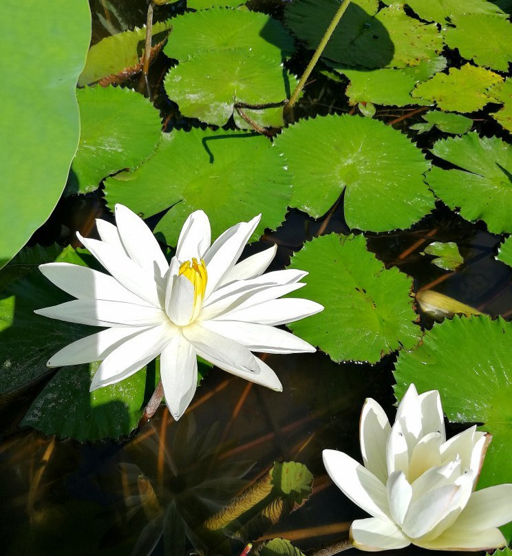 巴里岛涅槃度假村主图