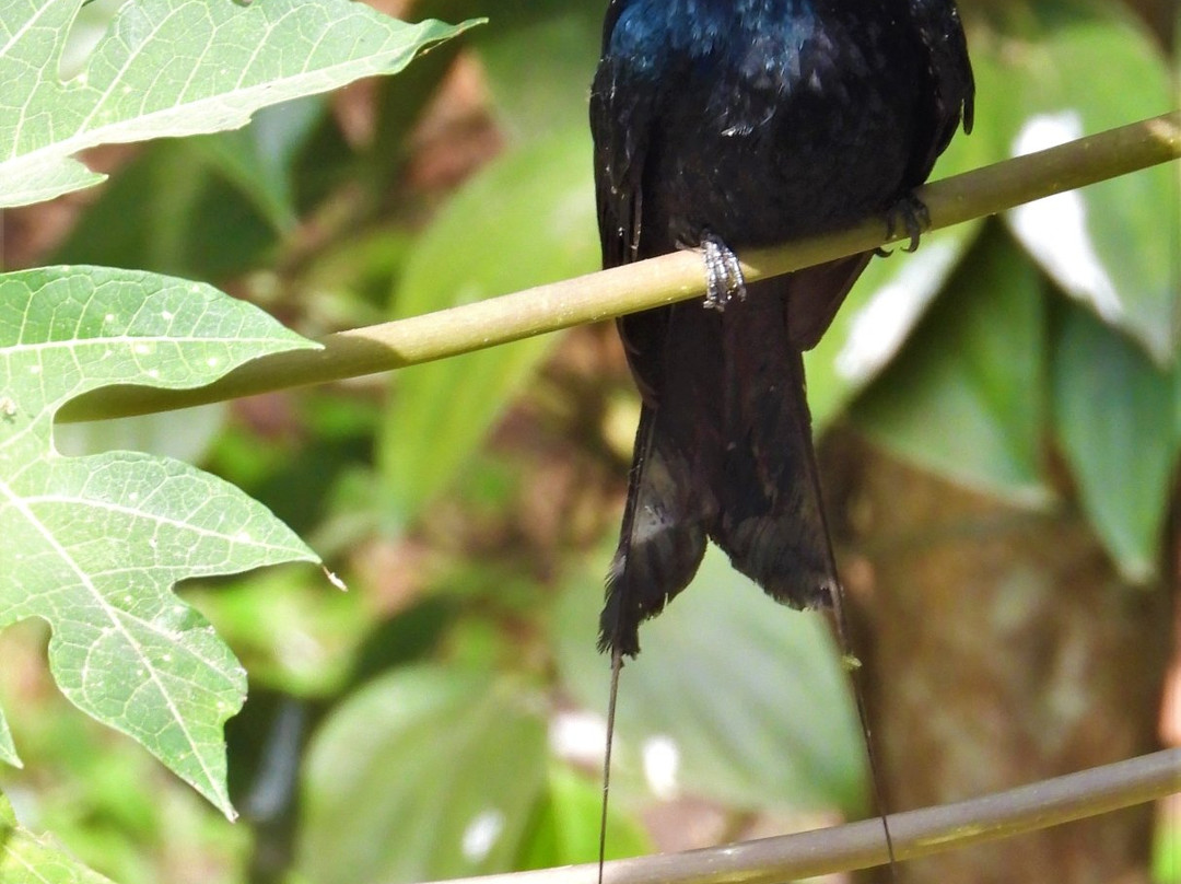 迪恩戴尔小屋主图