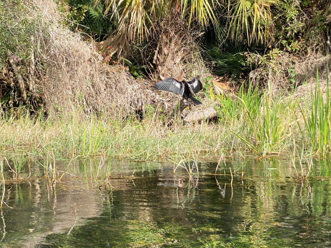KP Hole Park-Dunnellon必去景点