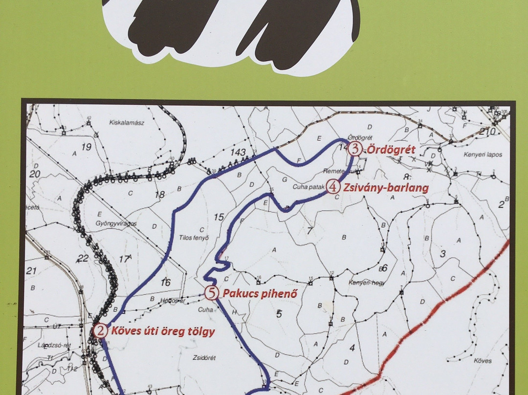Cuha Valley景点图片
