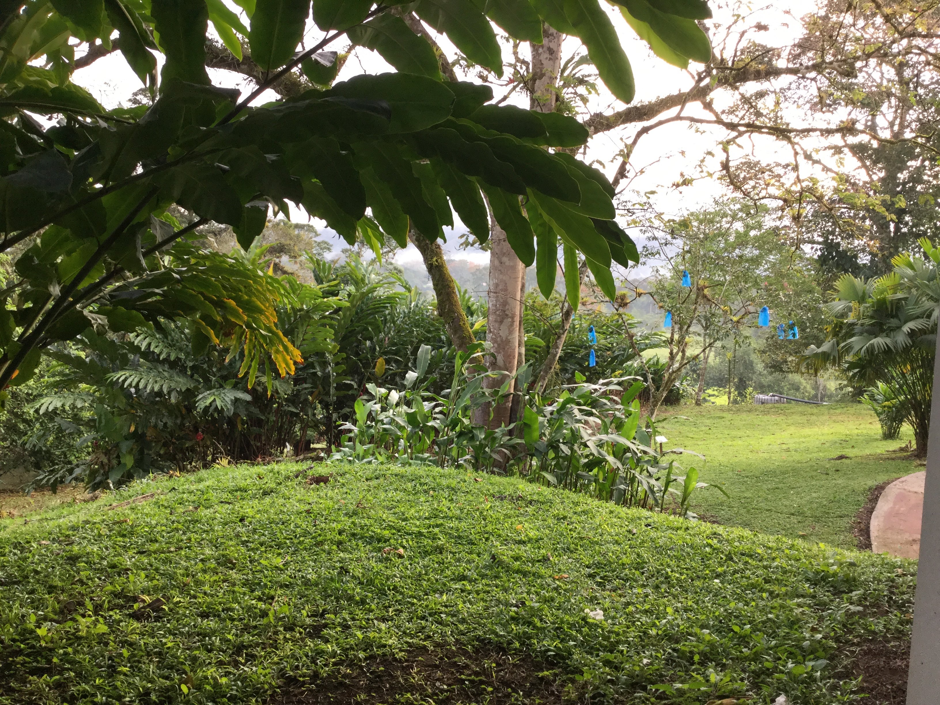 Hotel Villa Florencia-浴室
