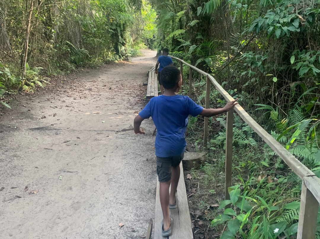 LUFASI Nature Park-拉哥斯必去景点