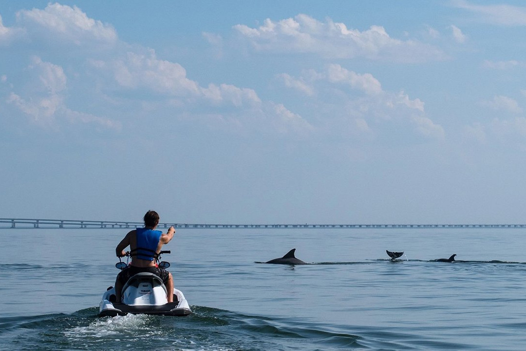 Poseidon Watersports-Cape Charles必去景点