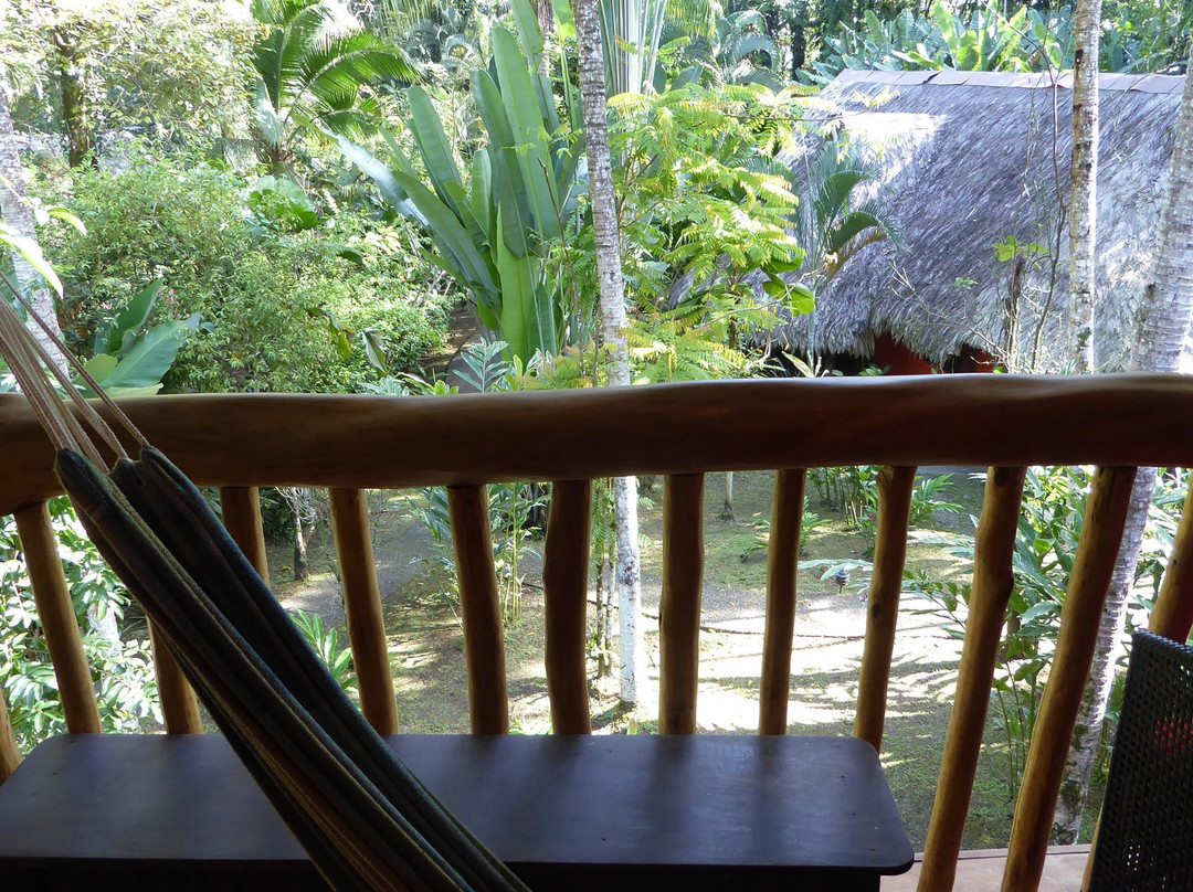 Cariblue Beach & Jungle Resort主图