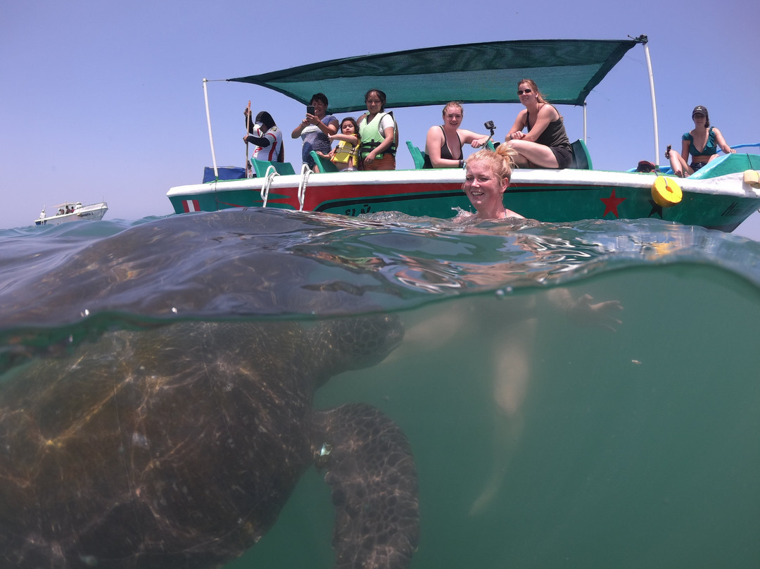 Nadando con Tortugas en El Nuro-Piura必去景点