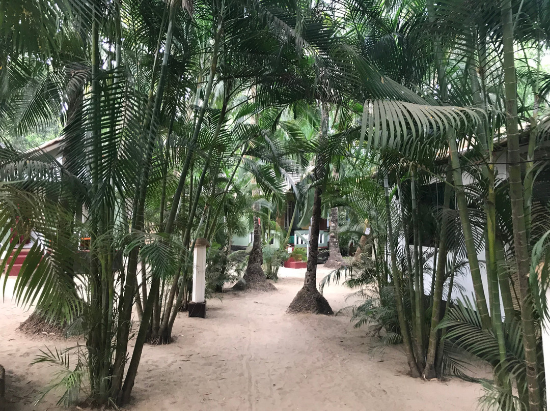 Dream Catcher by Feather Touch主图