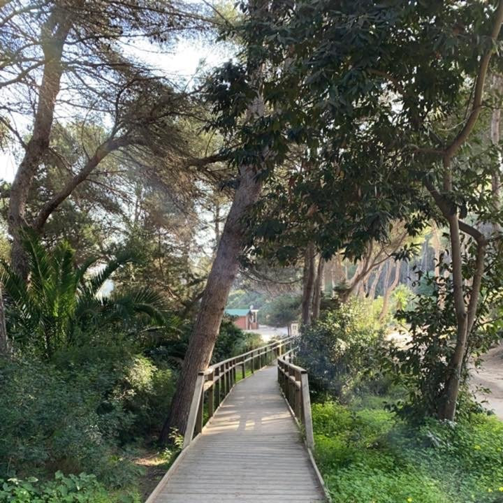 Cala Llenya-伊维萨城区必去景点