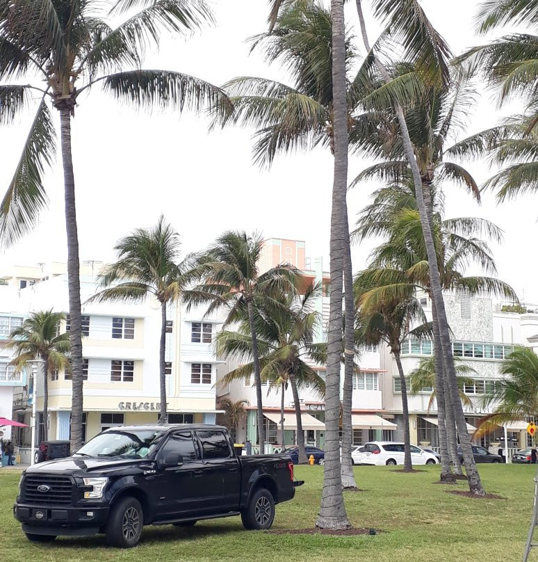 Lummus Park Historic District景点图片