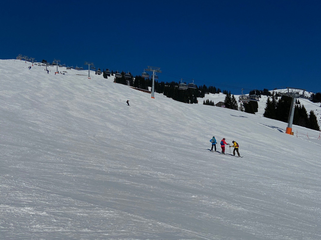 Skischule Penhab(ex Zink) Saalbach景点图片