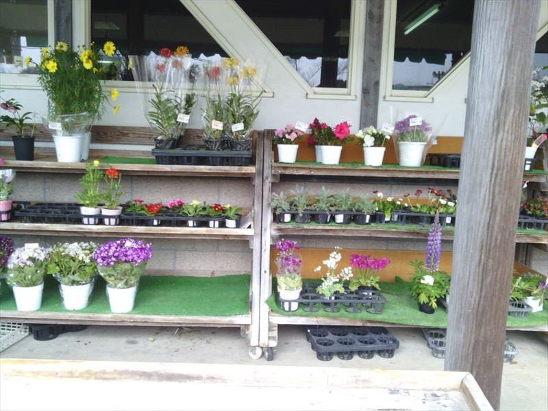 Anzu no Oka-山鹿市必去景点