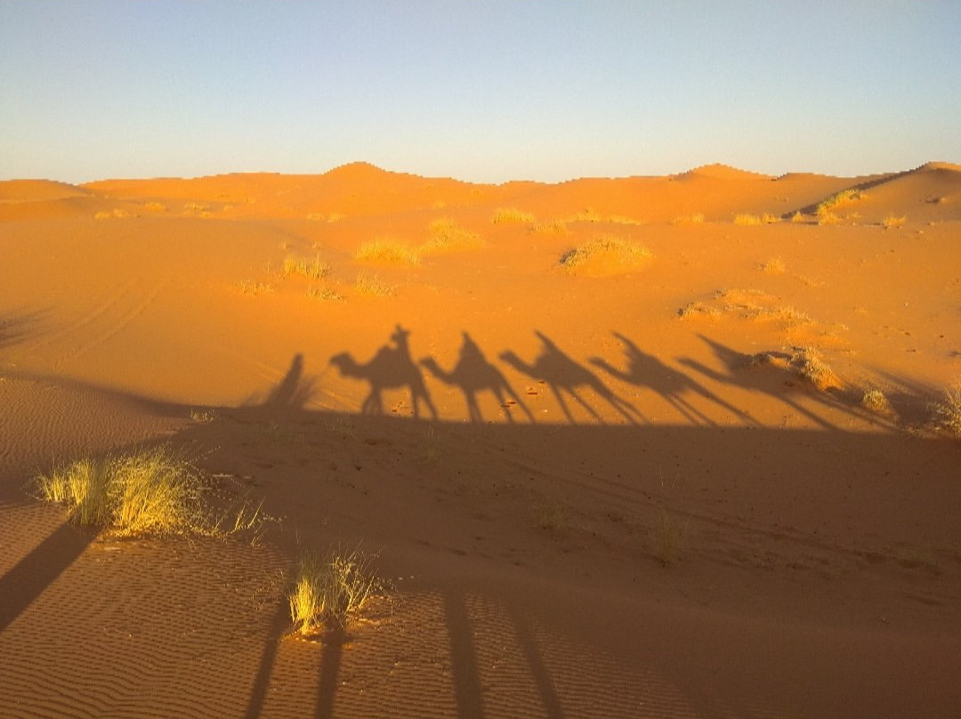 Kasbah Des Dunes主图