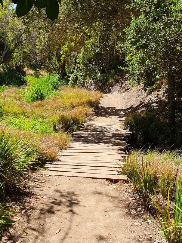 B & B Campomar de Santo Domingo主图