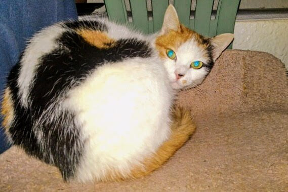 Tom and Rimi's Guesthouse主图