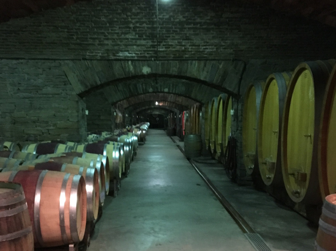 Winzergenossenschaft Mayschoß-Altenahr景点图片
