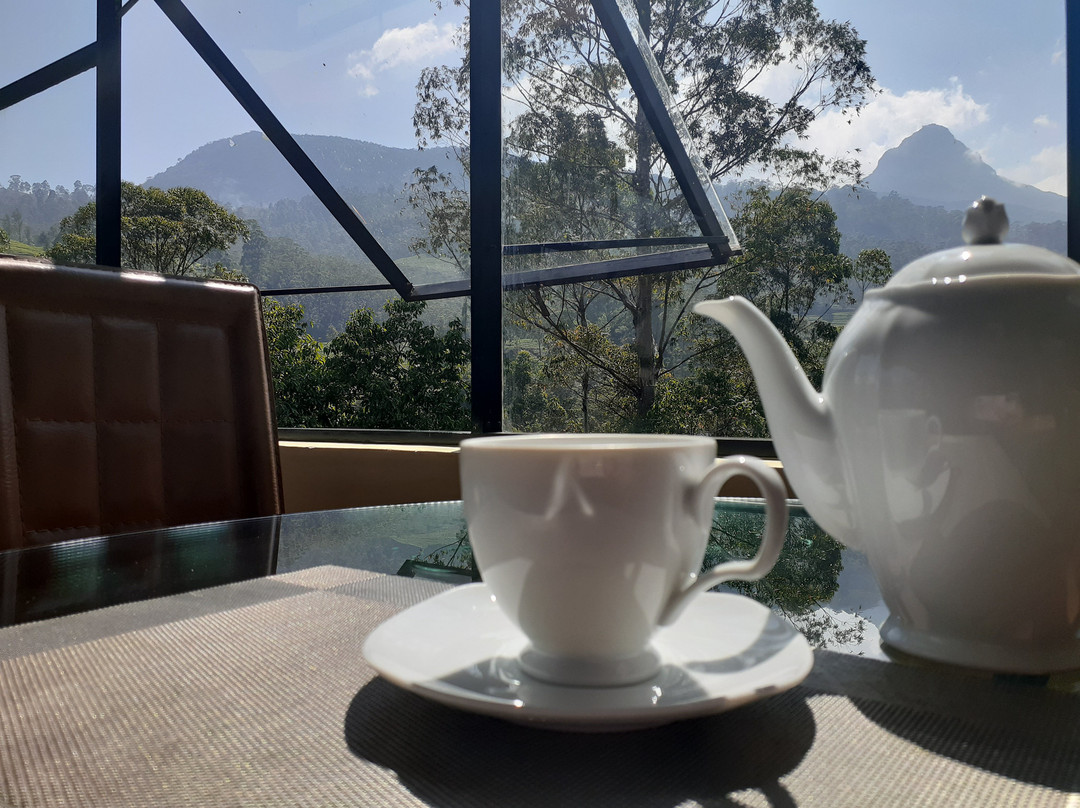 Slightly Chilled主图