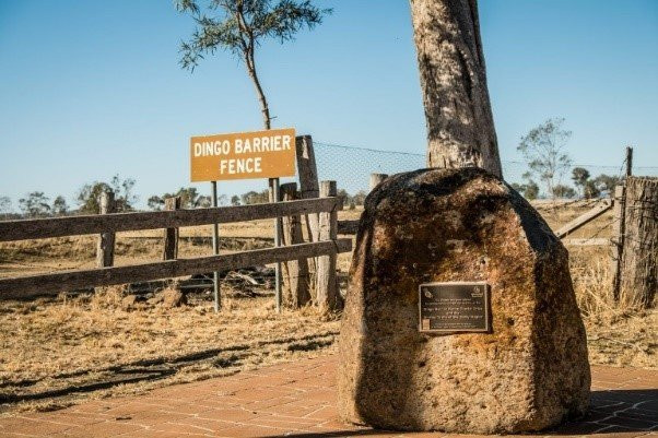 Bell旅游景点-The Dingo Fence