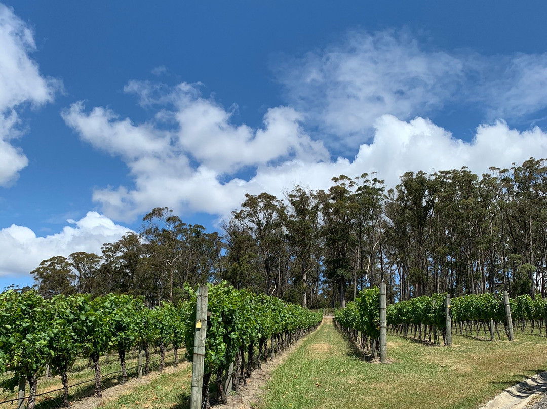 Small Wonder Wines-Kayena必去景点