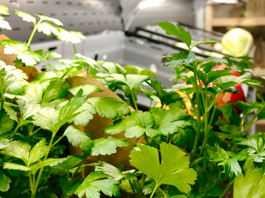 Paul Taylor Lanthandel