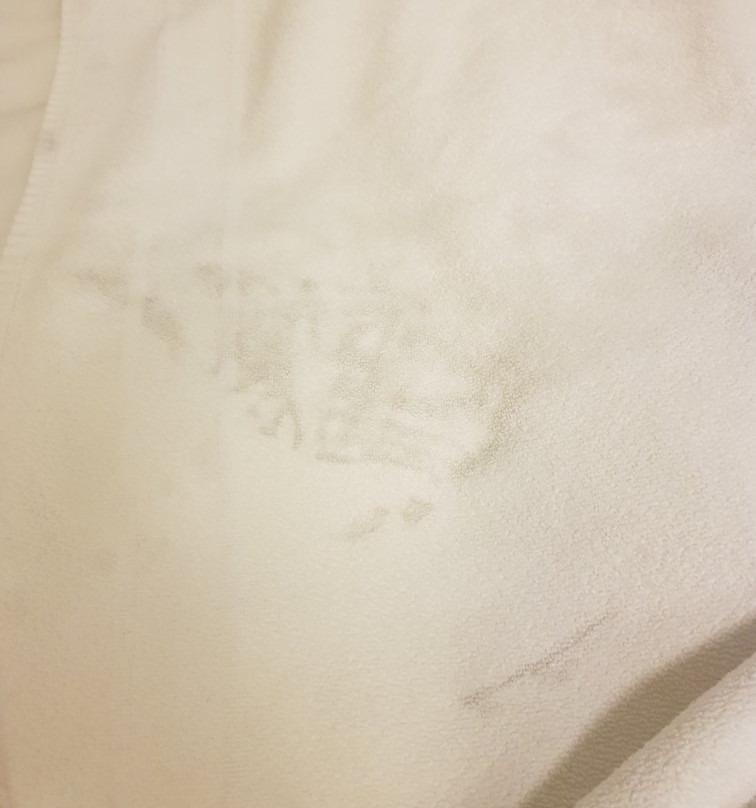 宜必思尚品蓬塔波朗酒店主图