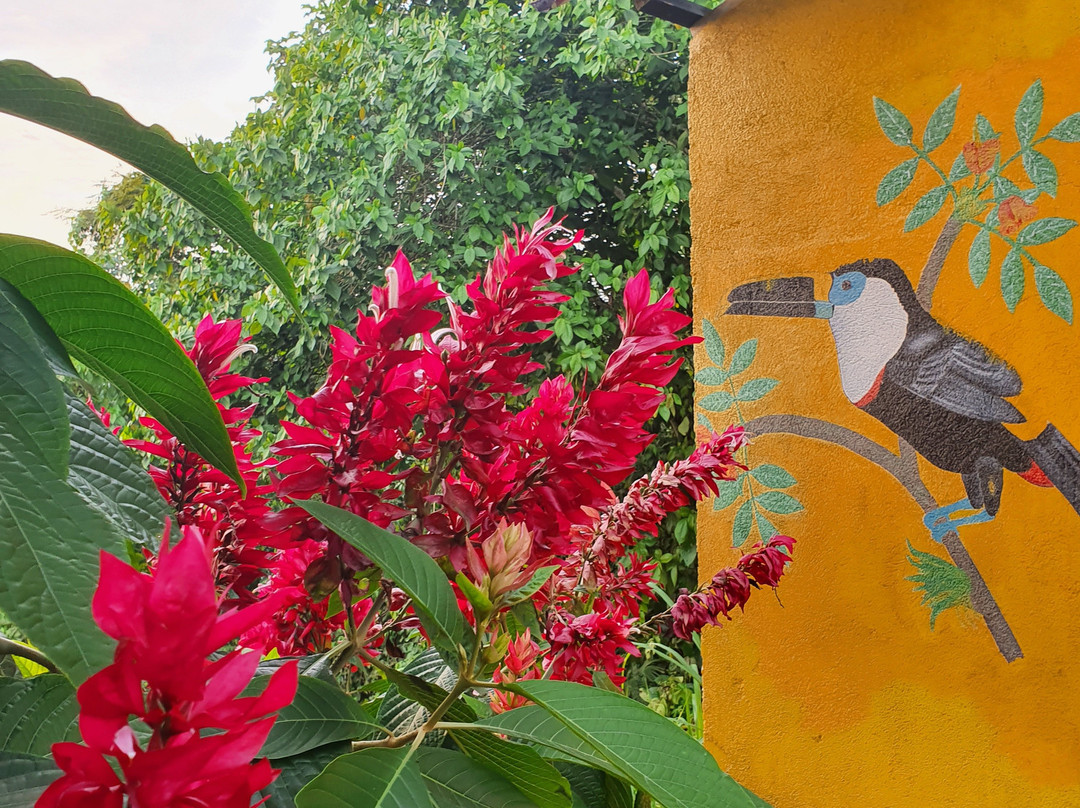 Hostal Tena Ñaui主图