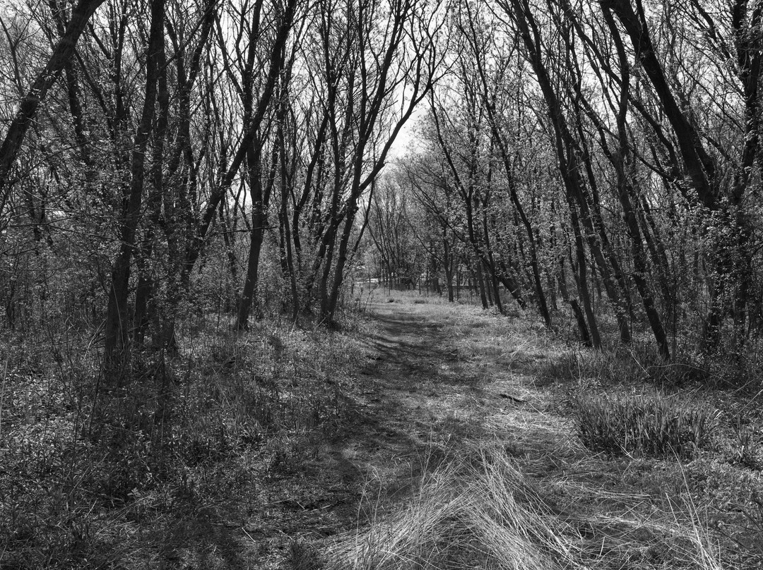 Kishwauketoe Conservancy-Williams Bay必去景点